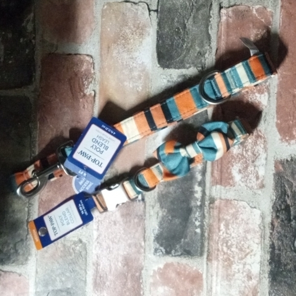 Top Paw Neoprene 4 ft‎ Leash and Medium Collar